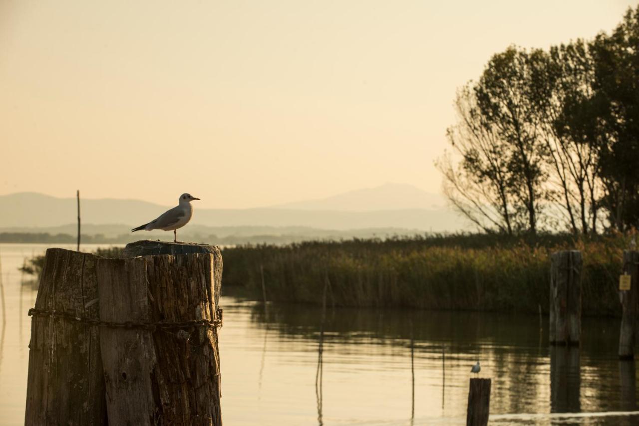Isola Polvese Resort Castiglione del Lago Eksteriør billede