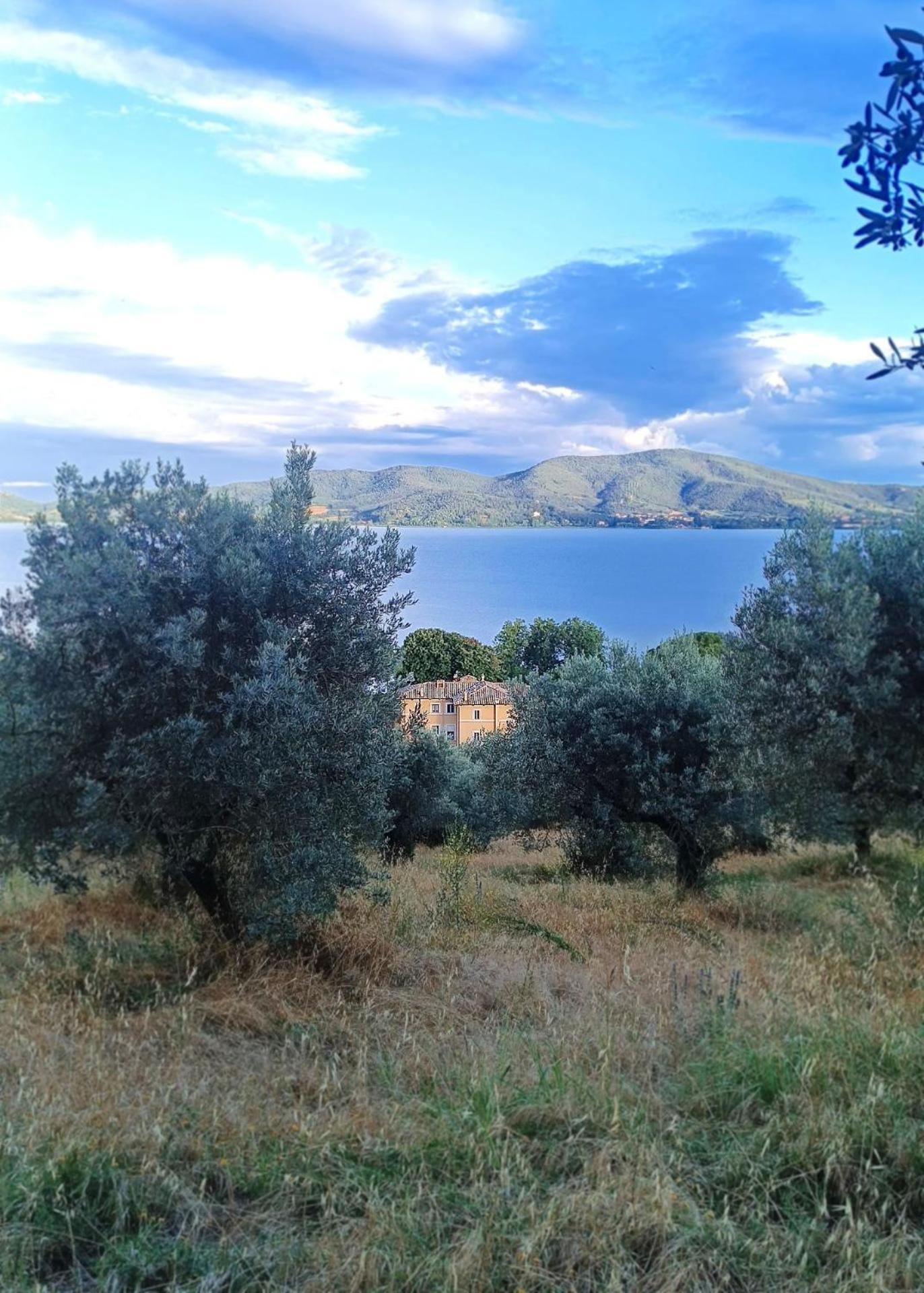 Isola Polvese Resort Castiglione del Lago Eksteriør billede